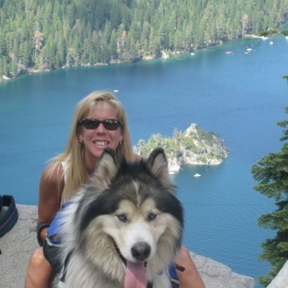tahoebon